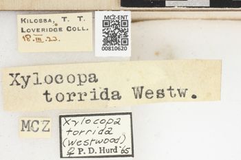 Media type: image;   Entomology 810620 Aspect: labels